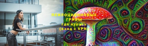 тгк Абаза