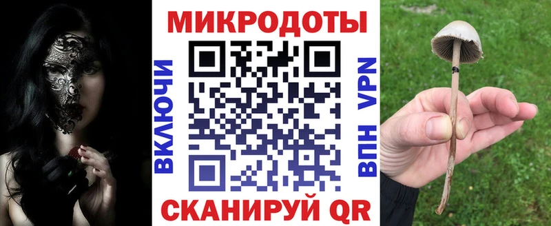сколько стоит  Княгинино  shop какой сайт  Галлюциногенные грибы Psilocybe 